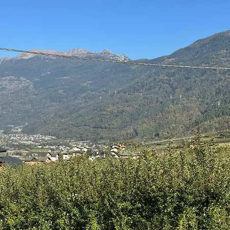 Il Nido Di Adele
